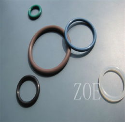 進口防腐蝕o型圈價格 廠家 圖片